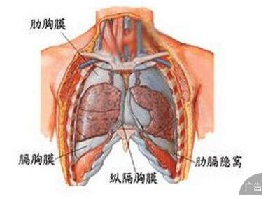 胸膜疾病