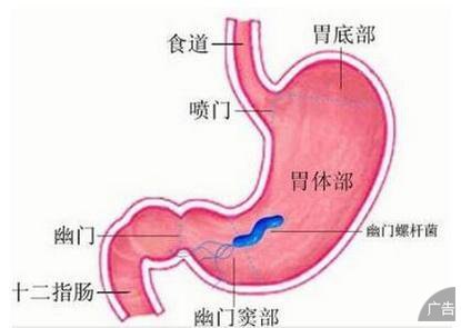 胃肠类