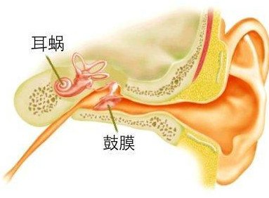 如何进行鼓膜穿孔的检查