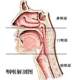 鼻咽炎的症状表现有哪些