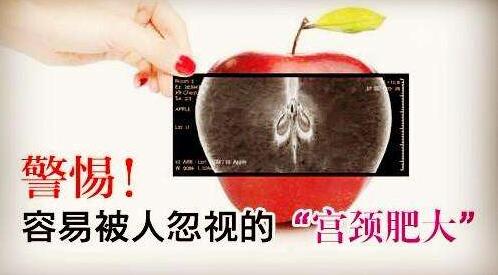 QQ截图20170626145350.jpg