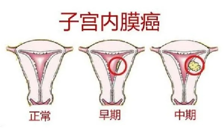 微信图片_20210802093424.bmp