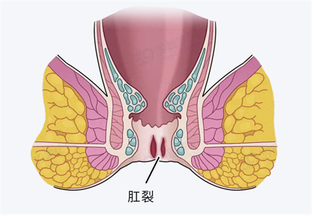 微信图片_20250507162649.png